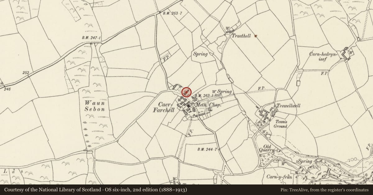 Ordnance Survey six-inch map, 2nd edition (1888–1913) covering the location of Range of outbuildings to rear of Hamilton House, St. David's and the Cathedral Close, Pembrokeshire, with a pin at the register's coordinates