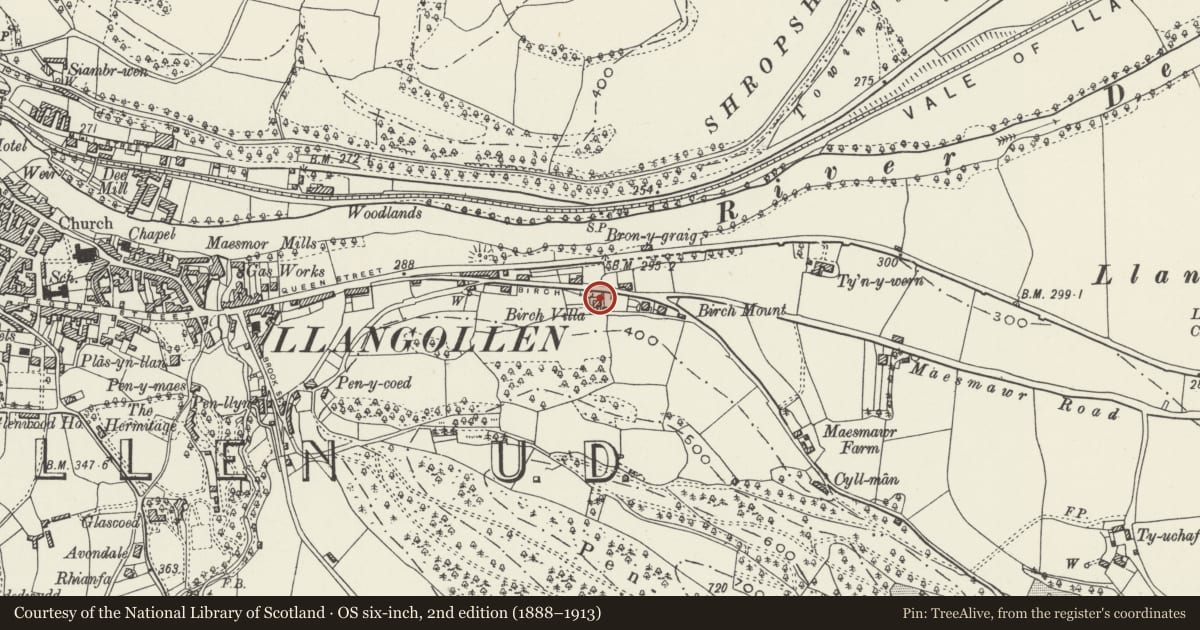 Ordnance Survey six-inch map, 2nd edition (1888–1913) covering the location of Birch Villa, Llangollen, Denbighshire, with a pin at the register's coordinates
