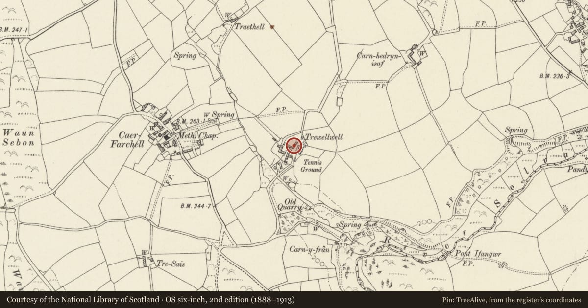 Ordnance Survey six-inch map, 2nd edition (1888–1913) covering the location of Vaulted Chamber in Earth Bank to W. of Trewellwell, St. David's and the Cathedral Close, Pembrokeshire, with a pin at the register's coordinates