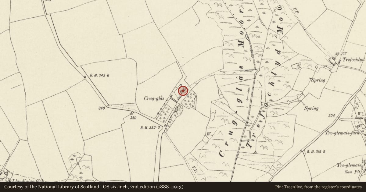 Ordnance Survey six-inch map, 2nd edition (1888–1913) covering the location of Outbuilding with attached Horse Engine House in Farmyard to NE of Crug-Glas, St. David's and the Cathedral Close, Pembrokeshire, with a pin at the register's coordinates