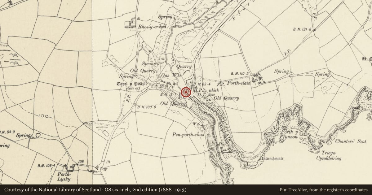 Ordnance Survey six-inch map, 2nd edition (1888–1913) covering the location of Footbridge adjacent to Road Bridge, St. David's and the Cathedral Close, Pembrokeshire, with a pin at the register's coordinates