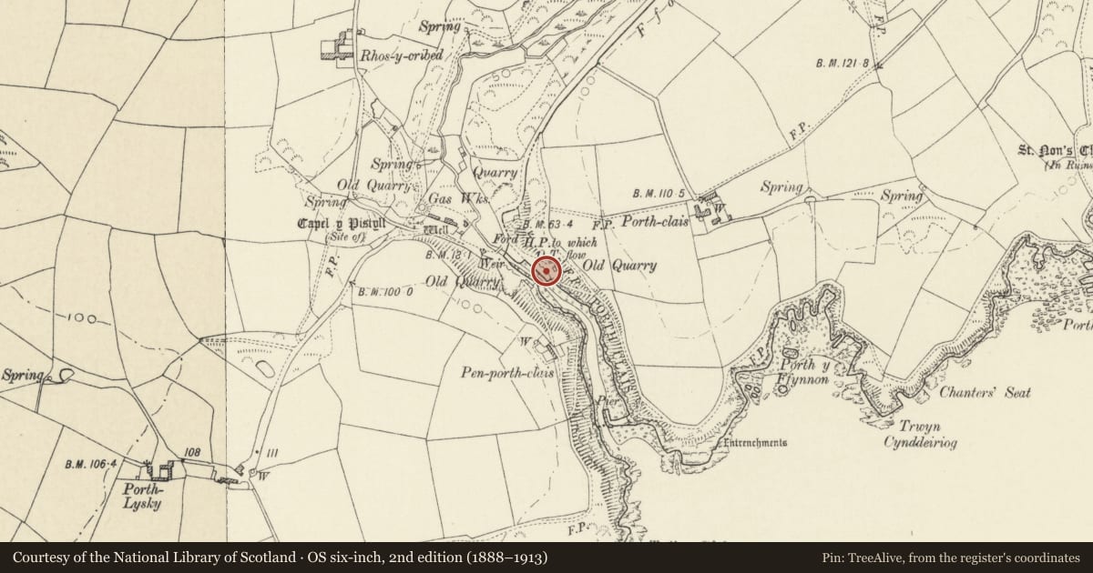 Ordnance Survey six-inch map, 2nd edition (1888–1913) covering the location of One of a Pair of Limekilns on Eastern Quay, St. David's and the Cathedral Close, Pembrokeshire, with a pin at the register's coordinates