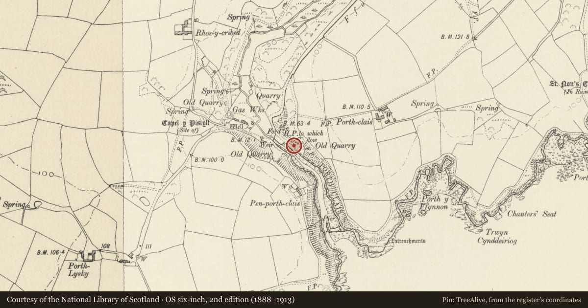 Ordnance Survey six-inch map, 2nd edition (1888–1913) covering the location of One of a Pair of Limelkilns on Eastern Quay, St. David's and the Cathedral Close, Pembrokeshire, with a pin at the register's coordinates