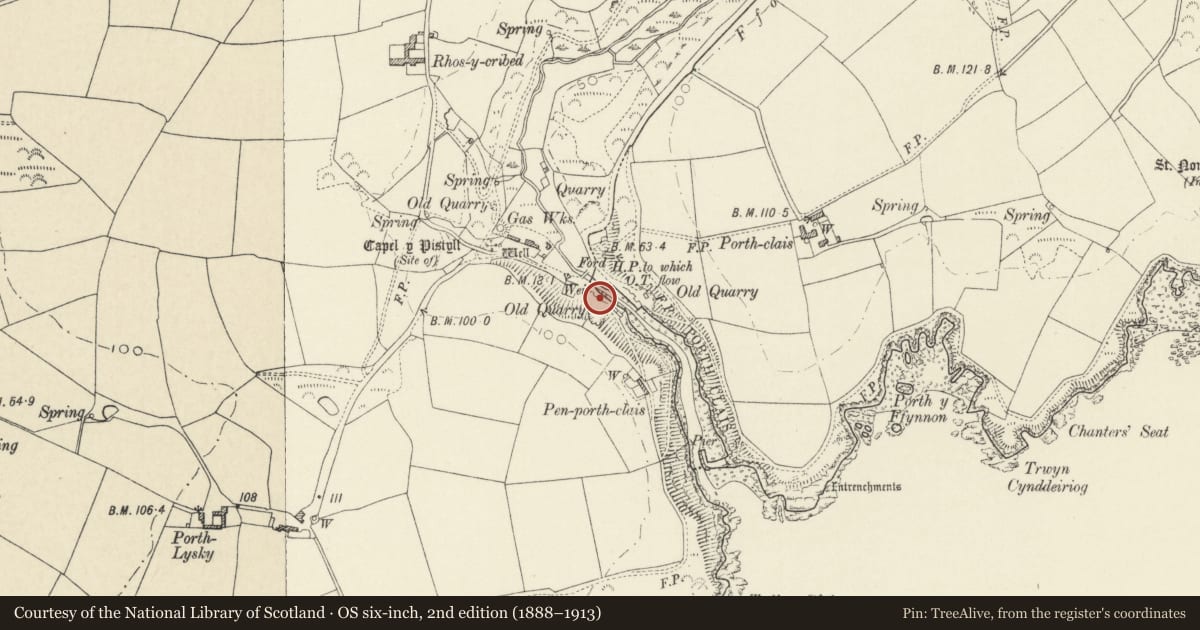 Ordnance Survey six-inch map, 2nd edition (1888–1913) covering the location of One of a Pair of Limekilns on Western Side of Slipway, St. David's and the Cathedral Close, Pembrokeshire, with a pin at the register's coordinates