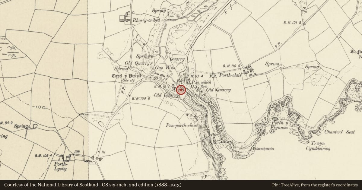 Ordnance Survey six-inch map, 2nd edition (1888–1913) covering the location of One of a Pair of Limekilns on western side of slipway, St. David's and the Cathedral Close, Pembrokeshire, with a pin at the register's coordinates