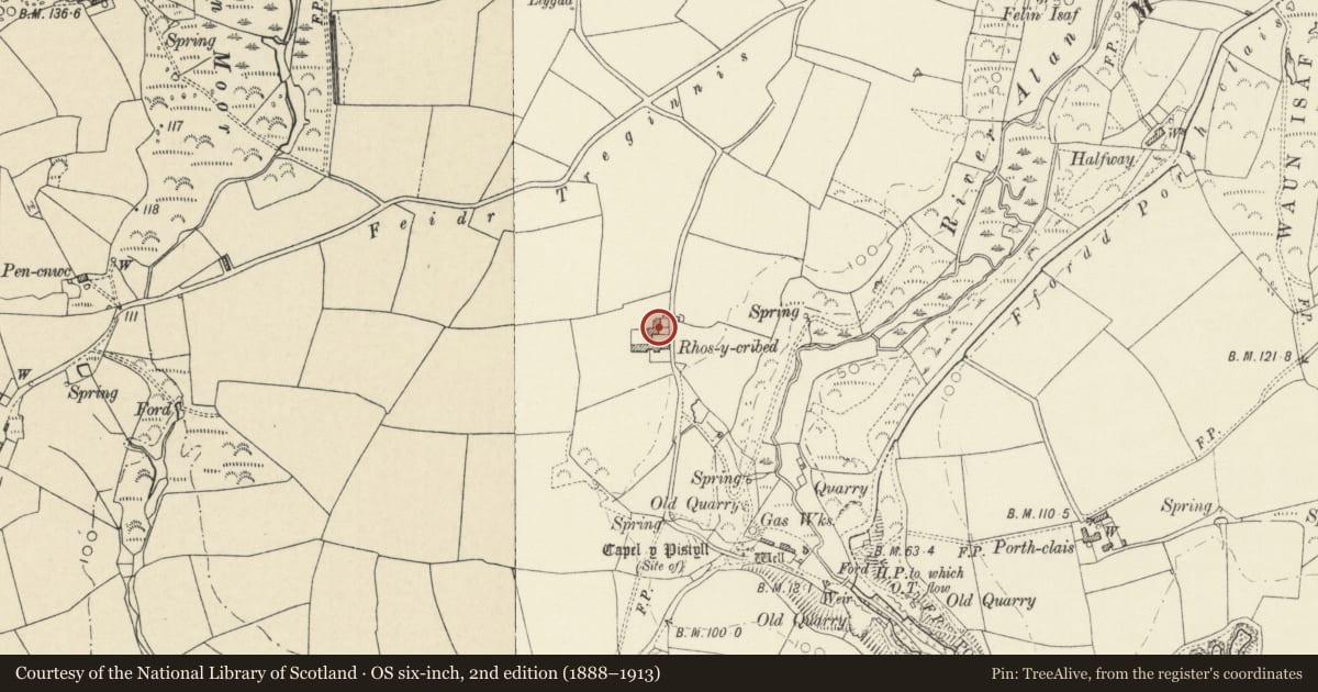 Ordnance Survey six-inch map, 2nd edition (1888–1913) covering the location of Rhos y Cribed & Outbuilding to NW, St. David's and the Cathedral Close, Pembrokeshire, with a pin at the register's coordinates