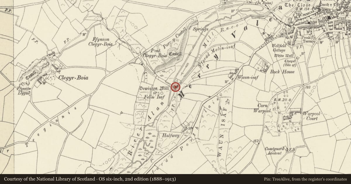 Ordnance Survey six-inch map, 2nd edition (1888–1913) covering the location of Felin Isaf, including former Water Mill to rear, St. David's and the Cathedral Close, Pembrokeshire, with a pin at the register's coordinates