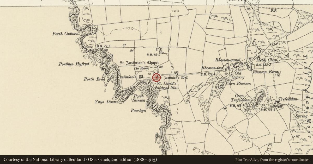 Ordnance Survey six-inch map, 2nd edition (1888–1913) covering the location of St Justinian's Well, St. David's and the Cathedral Close, Pembrokeshire, with a pin at the register's coordinates