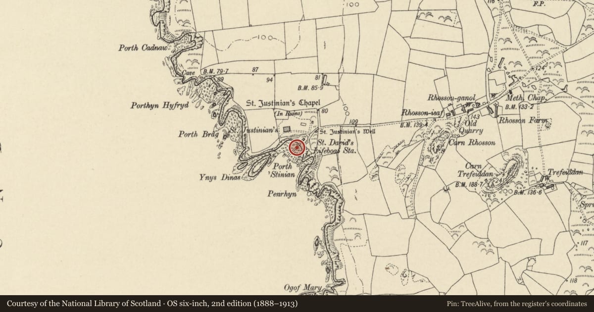 Ordnance Survey six-inch map, 2nd edition (1888–1913) covering the location of Lifeboat House, St. David's and the Cathedral Close, Pembrokeshire, with a pin at the register's coordinates