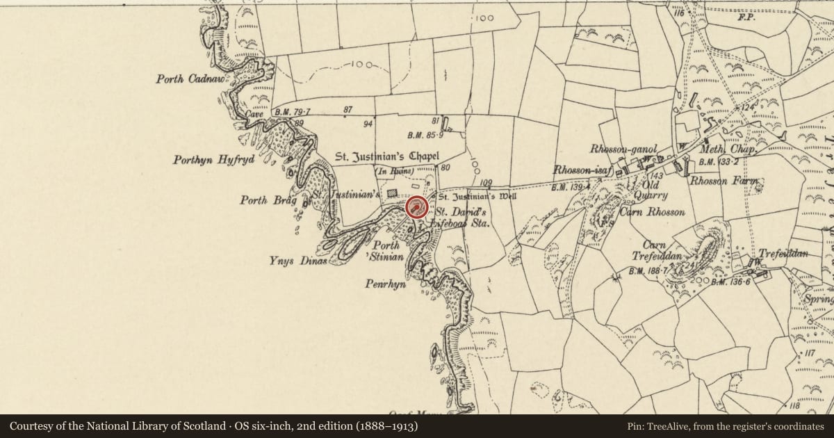 Ordnance Survey six-inch map, 2nd edition (1888–1913) covering the location of Old Lifeboat House, St. David's and the Cathedral Close, Pembrokeshire, with a pin at the register's coordinates