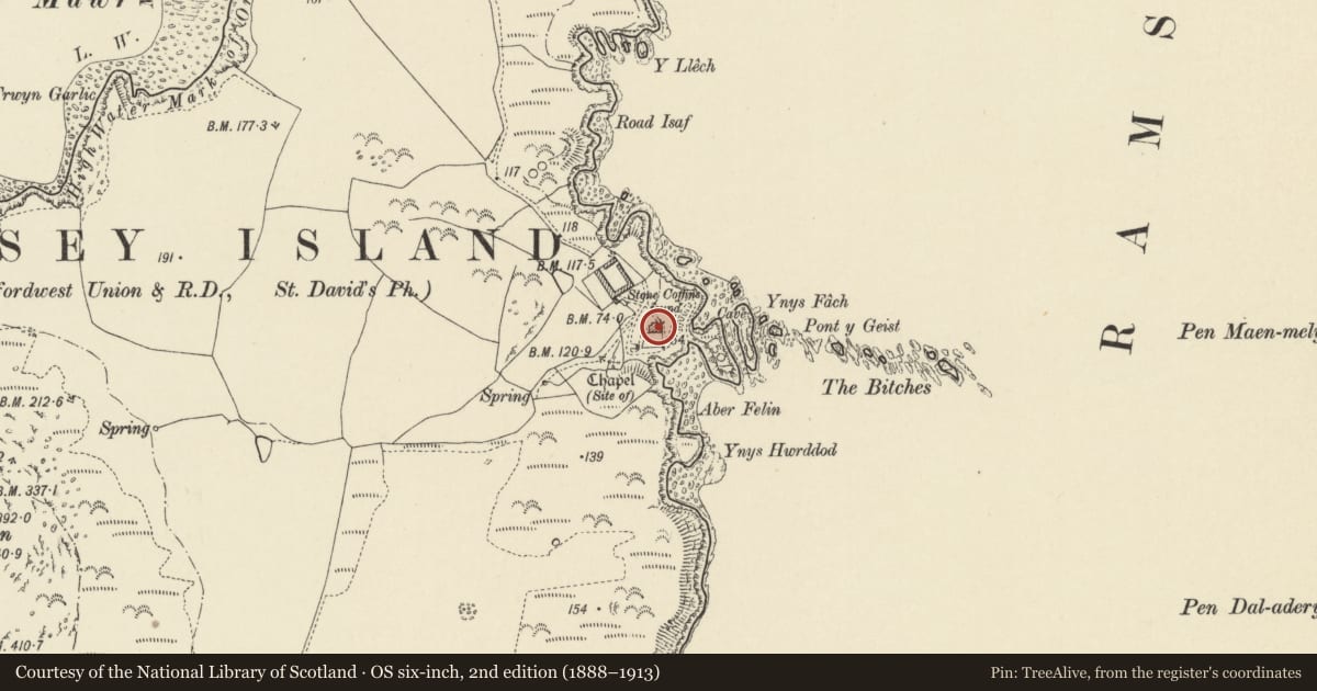 Ordnance Survey six-inch map, 2nd edition (1888–1913) covering the location of The Farmhouse, St. David's and the Cathedral Close, Pembrokeshire, with a pin at the register's coordinates