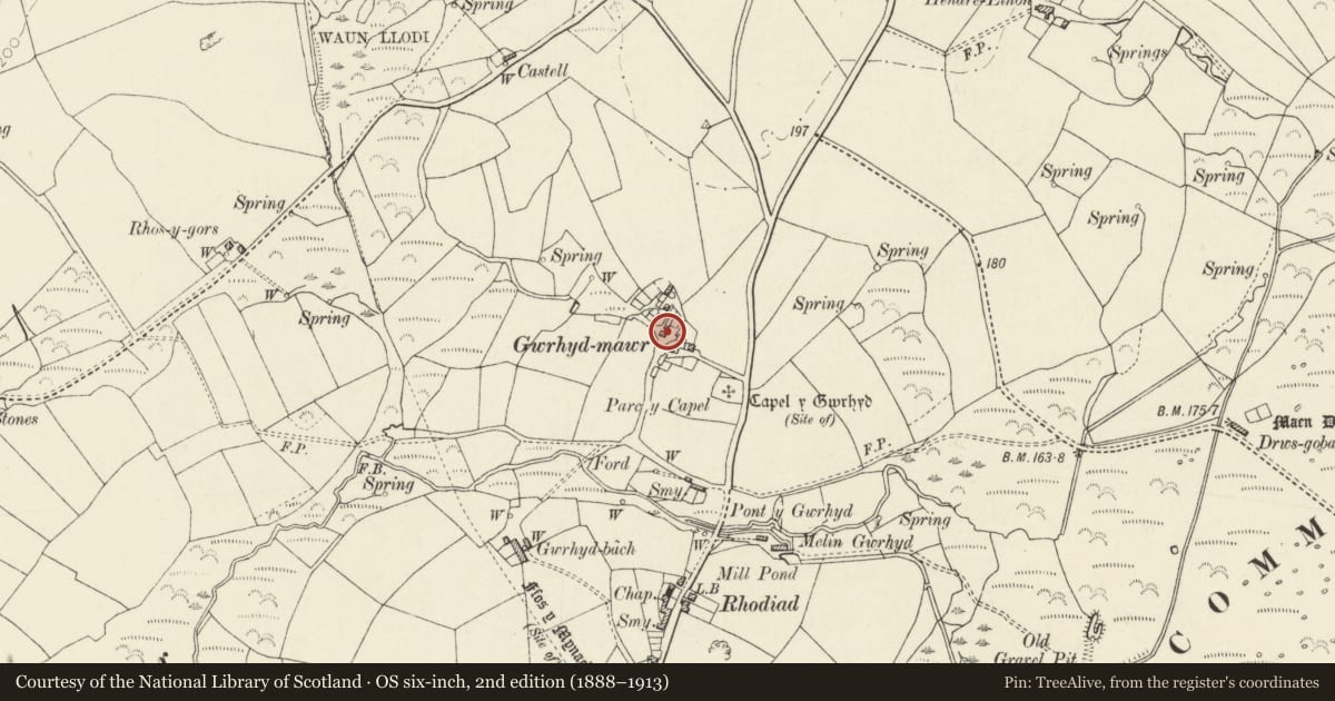 Ordnance Survey six-inch map, 2nd edition (1888–1913) covering the location of Gwrhyd Ganol, St. David's and the Cathedral Close, Pembrokeshire, with a pin at the register's coordinates