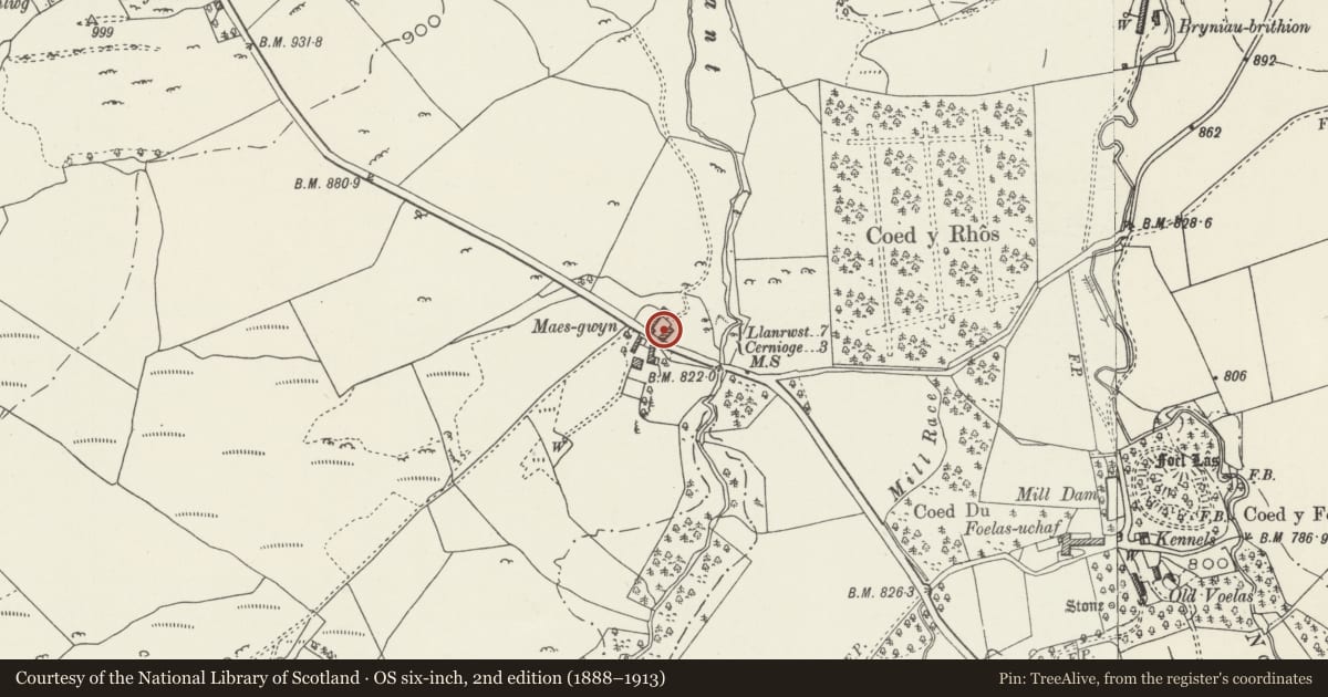 Ordnance Survey six-inch map, 2nd edition (1888–1913) covering the location of Cowhouse and carthouse at Maes-gwyn, Pentrefoelas, Conwy, with a pin at the register's coordinates