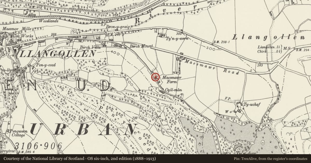 Ordnance Survey six-inch map, 2nd edition (1888–1913) covering the location of Maesmawr Farmhouse, Llangollen, Denbighshire, with a pin at the register's coordinates
