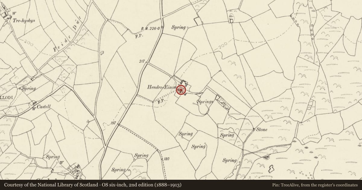 Ordnance Survey six-inch map, 2nd edition (1888–1913) covering the location of Hendre Eynon, St. David's and the Cathedral Close, Pembrokeshire, with a pin at the register's coordinates
