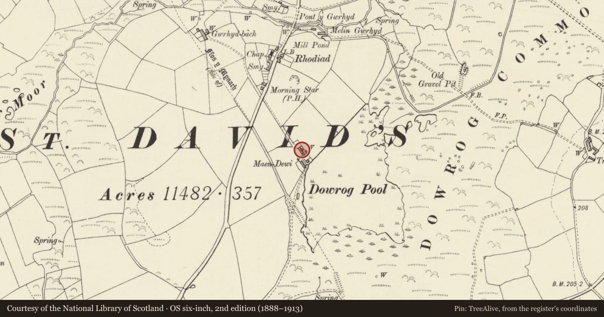 Ordnance Survey six-inch map, 2nd edition (1888–1913) covering the location of Maen Dewi, St. David's and the Cathedral Close, Pembrokeshire, with a pin at the register's coordinates