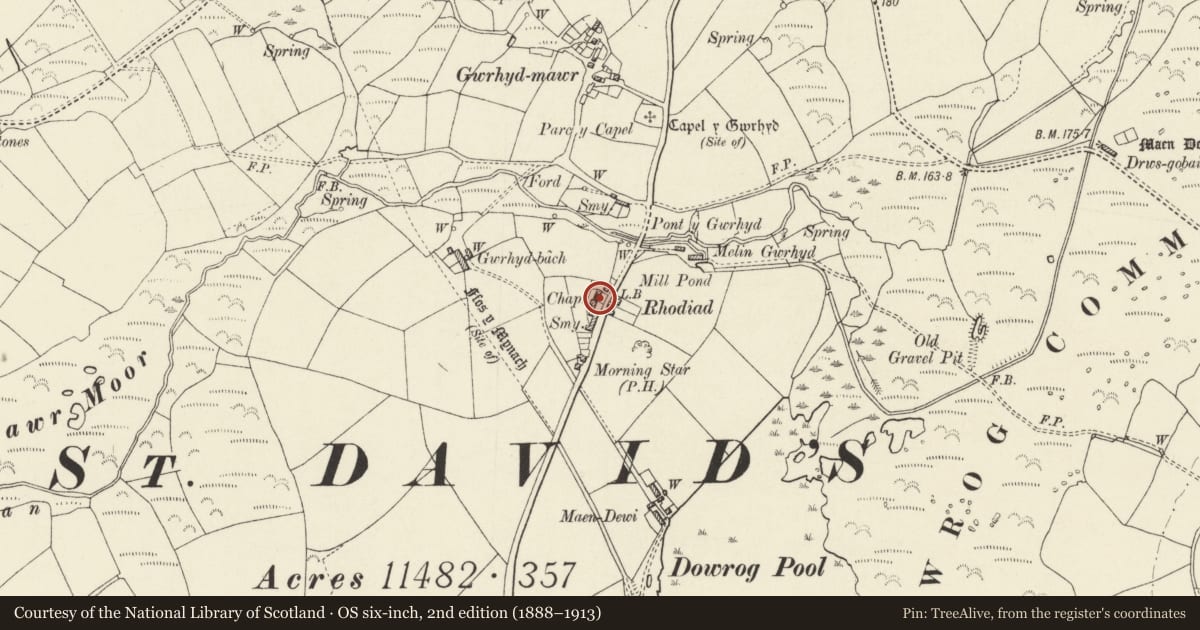Ordnance Survey six-inch map, 2nd edition (1888–1913) covering the location of Rhodiad Chapel, St. David's and the Cathedral Close, Pembrokeshire, with a pin at the register's coordinates