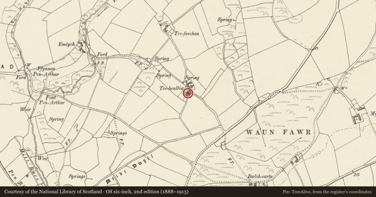 Ordnance Survey six-inch map, 2nd edition (1888–1913) covering the location of Trehenlliw, St. David's and the Cathedral Close, Pembrokeshire, with a pin at the register's coordinates
