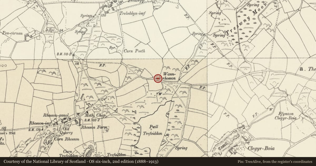 Ordnance Survey six-inch map, 2nd edition (1888–1913) covering the location of Waun Rhosson, St. David's and the Cathedral Close, Pembrokeshire, with a pin at the register's coordinates