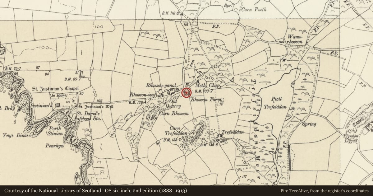 Ordnance Survey six-inch map, 2nd edition (1888–1913) covering the location of Rhosson Uchaf/Rhosson Farmhouse, St. David's and the Cathedral Close, Pembrokeshire, with a pin at the register's coordinates