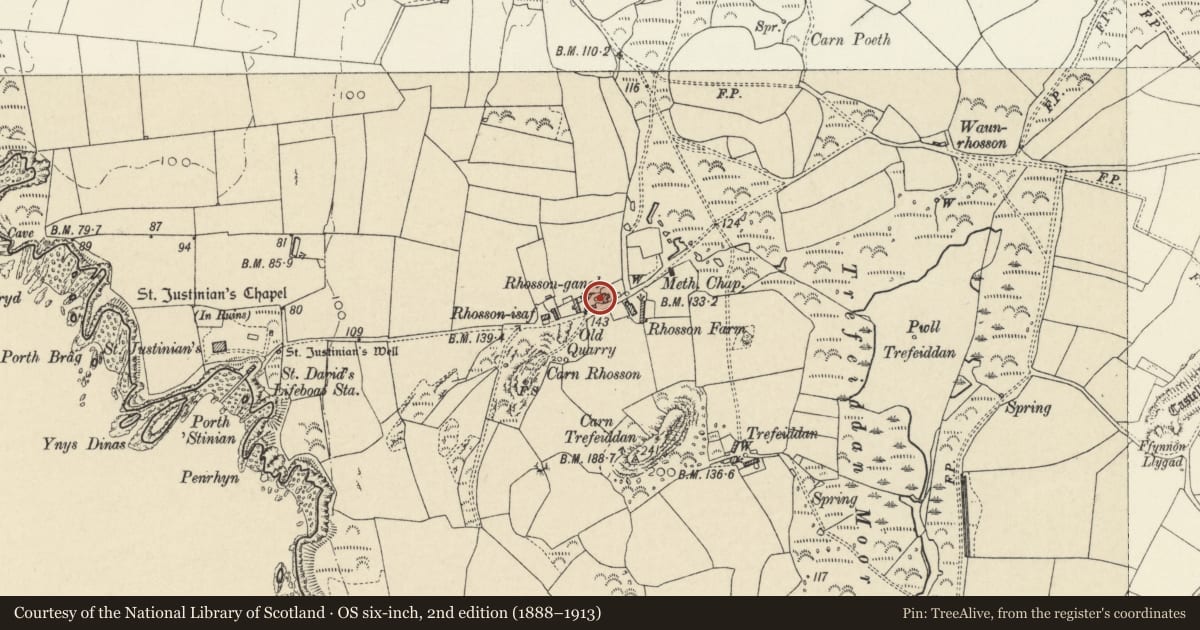 Ordnance Survey six-inch map, 2nd edition (1888–1913) covering the location of Well-Head opposite Rhosson Farm, St. David's and the Cathedral Close, Pembrokeshire, with a pin at the register's coordinates