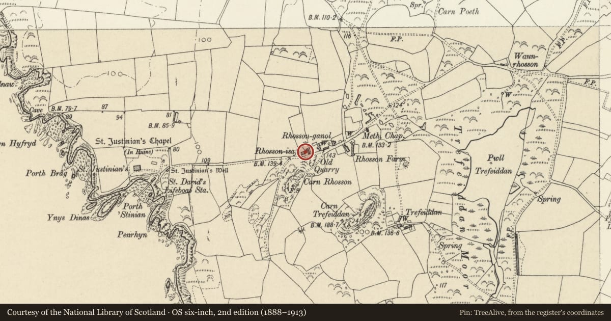 Ordnance Survey six-inch map, 2nd edition (1888–1913) covering the location of Rhosson Ganol, St. David's and the Cathedral Close, Pembrokeshire, with a pin at the register's coordinates