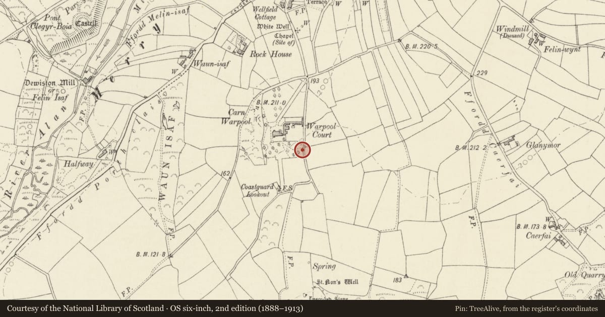 Ordnance Survey six-inch map, 2nd edition (1888–1913) covering the location of Pumphouse Tower in grounds of Warpool Court Hotel, St. David's and the Cathedral Close, Pembrokeshire, with a pin at the register's coordinates