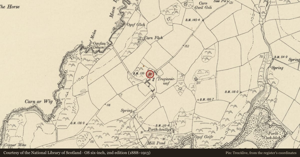 Ordnance Survey six-inch map, 2nd edition (1888–1913) covering the location of Treginnis Isaf/Lower Treginnis, St. David's and the Cathedral Close, Pembrokeshire, with a pin at the register's coordinates