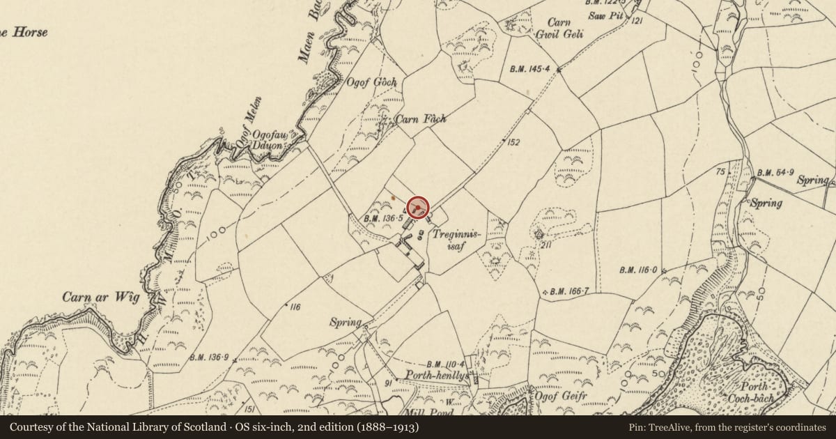 Ordnance Survey six-inch map, 2nd edition (1888–1913) covering the location of Granary & Cowhouse to NE. of Treginnis Isaf Farmhouse, St. David's and the Cathedral Close, Pembrokeshire, with a pin at the register's coordinates