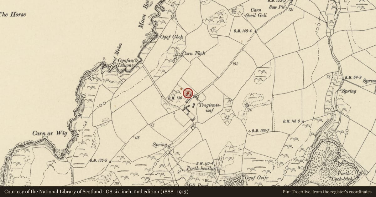 Ordnance Survey six-inch map, 2nd edition (1888–1913) covering the location of Outbuilding to N. of Treginnis Isaf Farmhouse, St. David's and the Cathedral Close, Pembrokeshire, with a pin at the register's coordinates