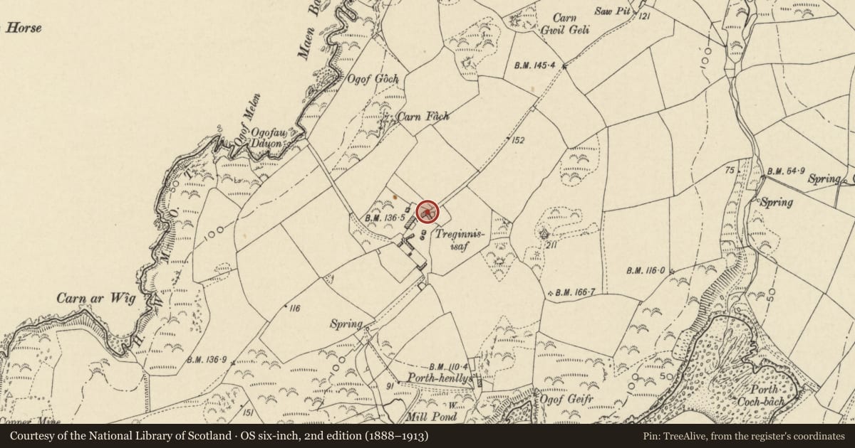 Ordnance Survey six-inch map, 2nd edition (1888–1913) covering the location of Cowhouse & Loft to E of Treginnis Farmhouse, St. David's and the Cathedral Close, Pembrokeshire, with a pin at the register's coordinates