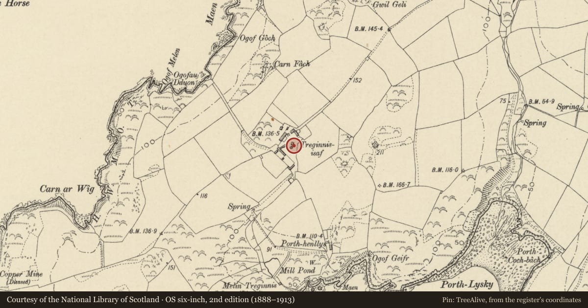 Ordnance Survey six-inch map, 2nd edition (1888–1913) covering the location of Dovecote at Treginnis Isaf Farm, St. David's and the Cathedral Close, Pembrokeshire, with a pin at the register's coordinates