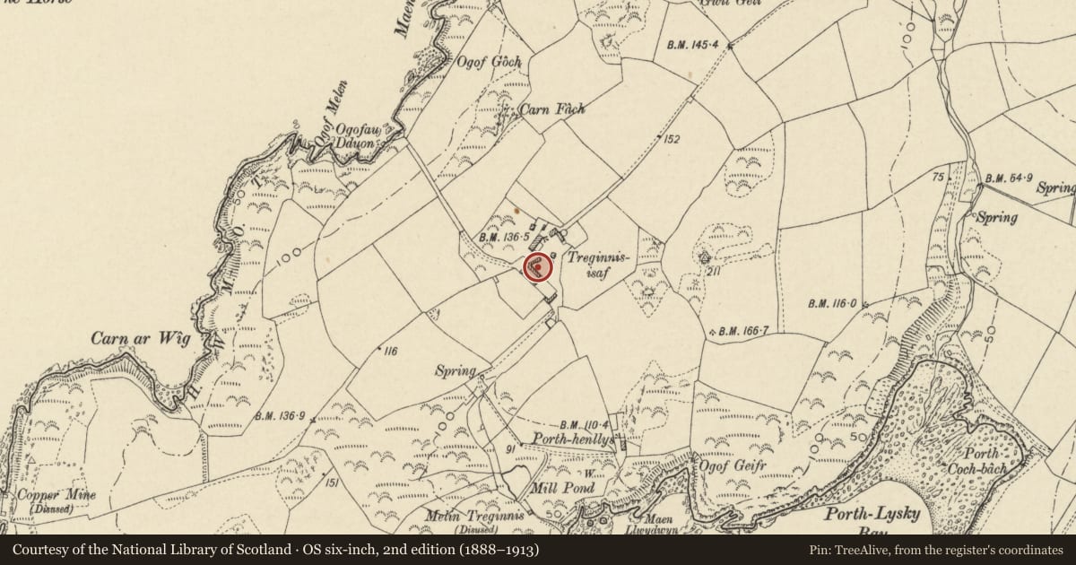Ordnance Survey six-inch map, 2nd edition (1888–1913) covering the location of Long Range of outbuildings to SW of Farmhouse at Treginnis Isaf, including attached walled enclosure, St. David's and the Cathedral Close, Pembrokeshire, with a pin at the register's coordinates