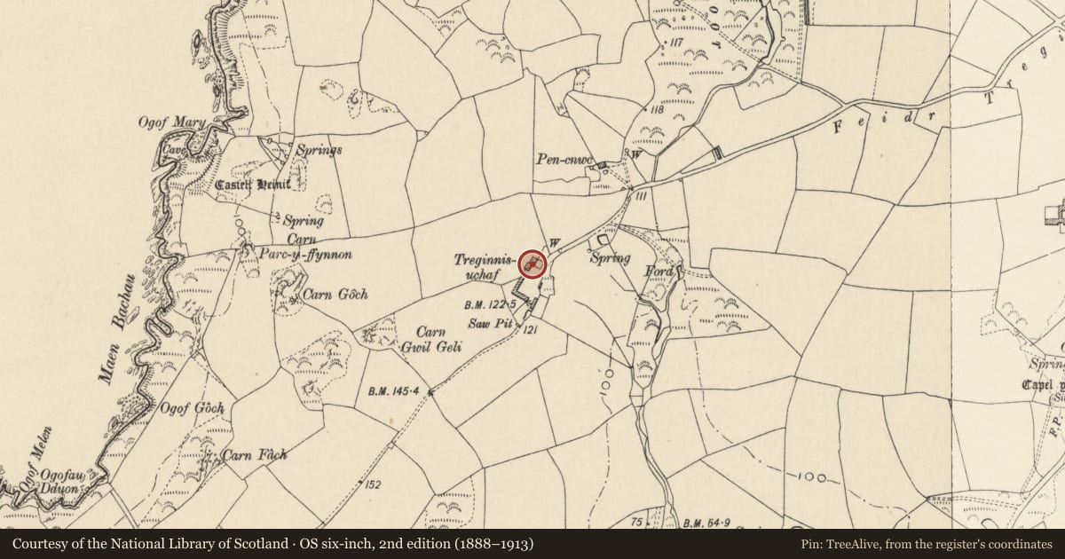 Ordnance Survey six-inch map, 2nd edition (1888–1913) covering the location of Treginnis Uchaf/upper Treginnis, St. David's and the Cathedral Close, Pembrokeshire, with a pin at the register's coordinates