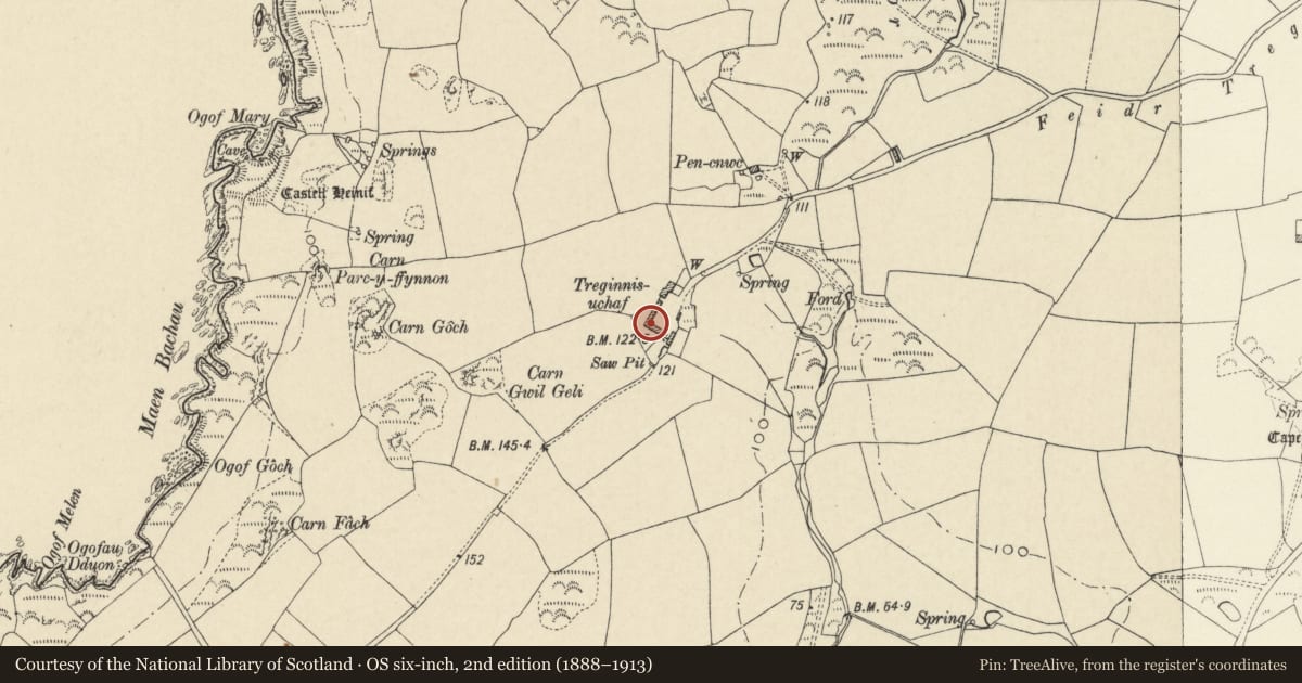 Ordnance Survey six-inch map, 2nd edition (1888–1913) covering the location of L-Plan range of outbuildings at Treginnis Uchaf, St. David's and the Cathedral Close, Pembrokeshire, with a pin at the register's coordinates
