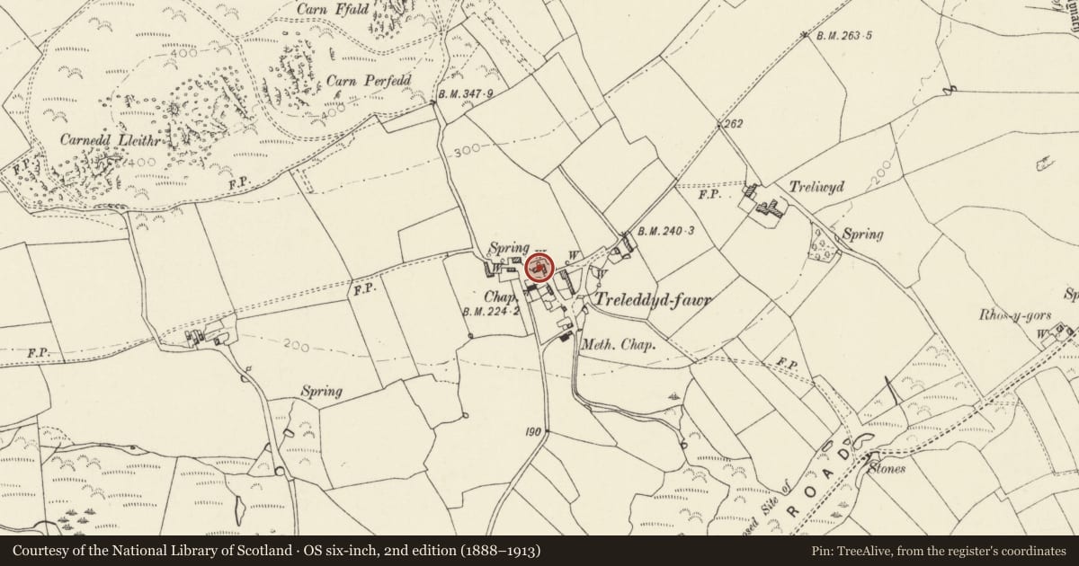 Ordnance Survey six-inch map, 2nd edition (1888–1913) covering the location of Trelleddyd Fawr, St. David's and the Cathedral Close, Pembrokeshire, with a pin at the register's coordinates