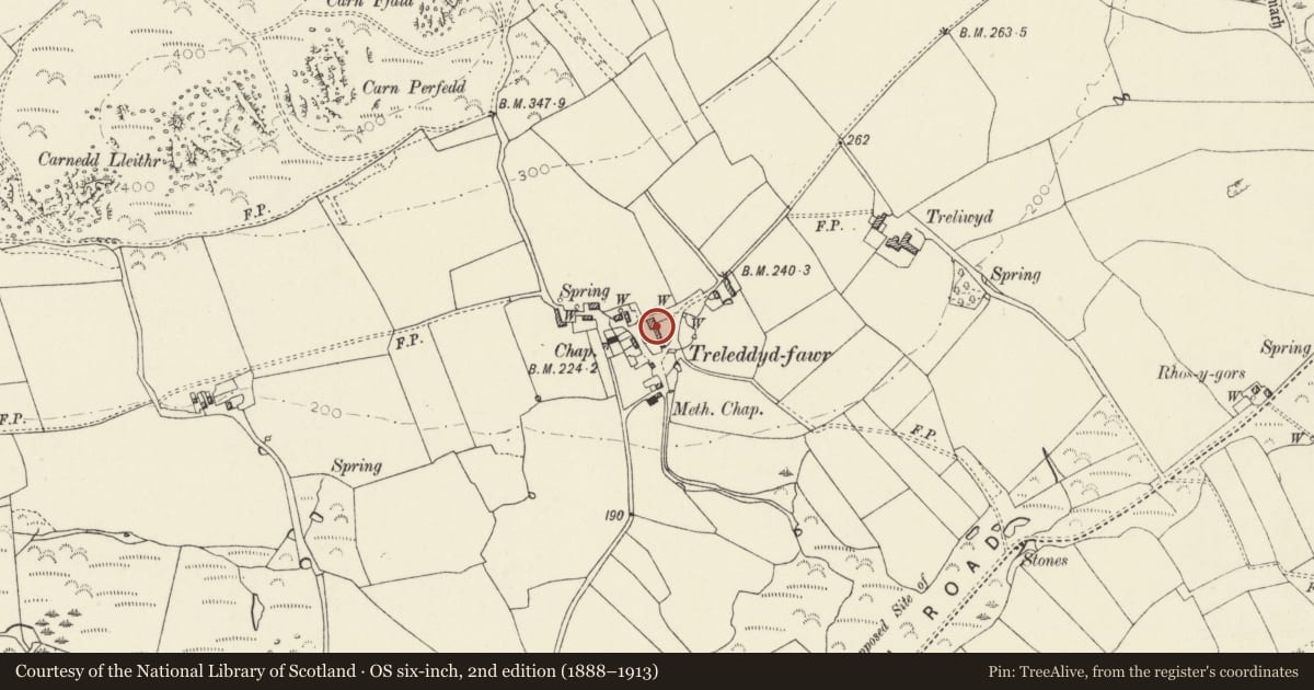 Ordnance Survey six-inch map, 2nd edition (1888–1913) covering the location of Ty Canol, including Range of Outbuilding to S. End, St. David's and the Cathedral Close, Pembrokeshire, with a pin at the register's coordinates