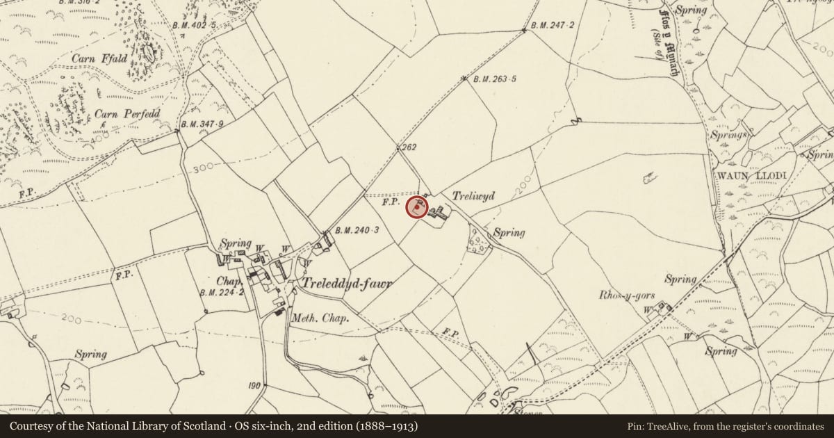 Ordnance Survey six-inch map, 2nd edition (1888–1913) covering the location of Wall with bee boles to W of Trelewyd, St. David's and the Cathedral Close, Pembrokeshire, with a pin at the register's coordinates