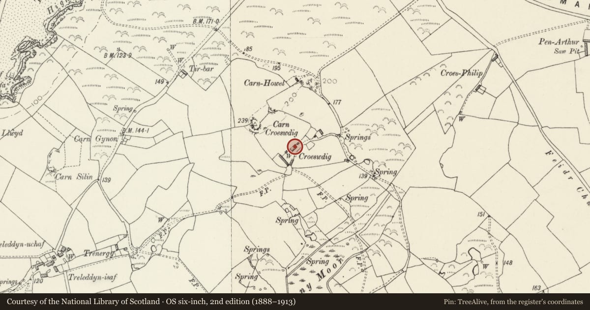 Ordnance Survey six-inch map, 2nd edition (1888–1913) covering the location of Croeswdig Treleddyn, St. David's and the Cathedral Close, Pembrokeshire, with a pin at the register's coordinates
