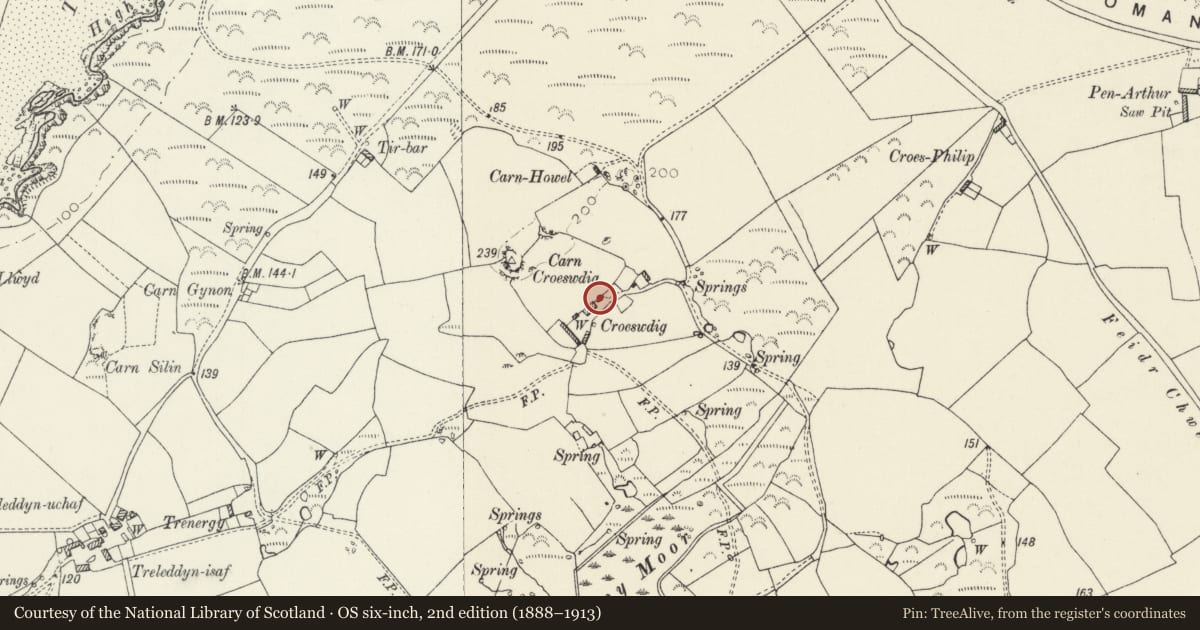 Ordnance Survey six-inch map, 2nd edition (1888–1913) covering the location of Outbuilding to E. of Croeswdig, St. David's and the Cathedral Close, Pembrokeshire, with a pin at the register's coordinates