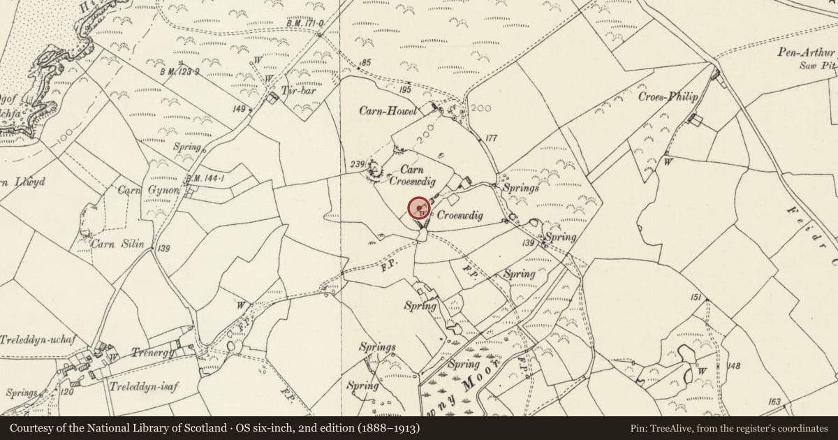 Ordnance Survey six-inch map, 2nd edition (1888–1913) covering the location of Outbuilding on N.Side of Farmyard at Croeswdig, St. David's and the Cathedral Close, Pembrokeshire, with a pin at the register's coordinates