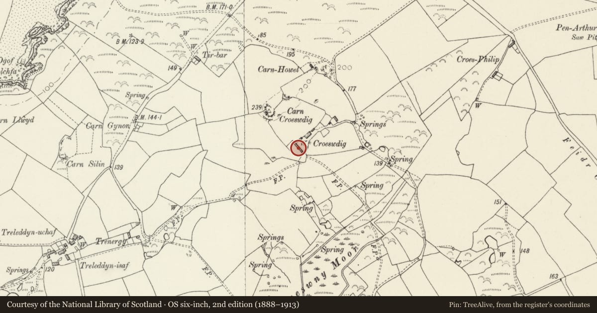 Ordnance Survey six-inch map, 2nd edition (1888–1913) covering the location of Range of outbuildings on W.side of Farmyard at Croeswdig, St. David's and the Cathedral Close, Pembrokeshire, with a pin at the register's coordinates