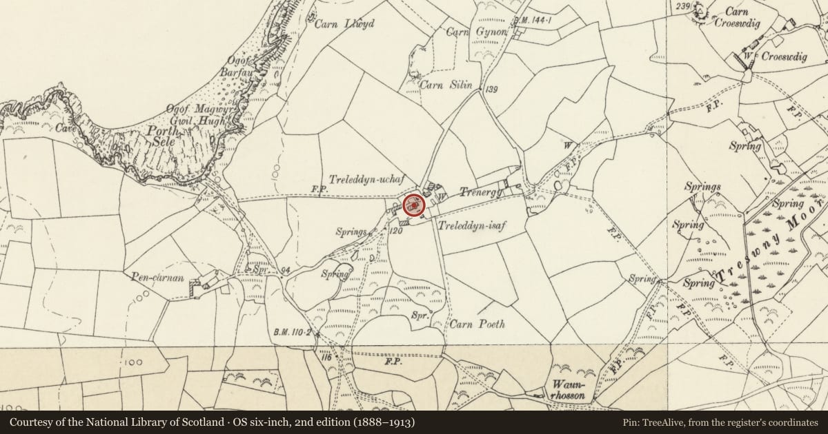 Ordnance Survey six-inch map, 2nd edition (1888–1913) covering the location of Treleddyn Isaf/Lower Treleddyn, St. David's and the Cathedral Close, Pembrokeshire, with a pin at the register's coordinates