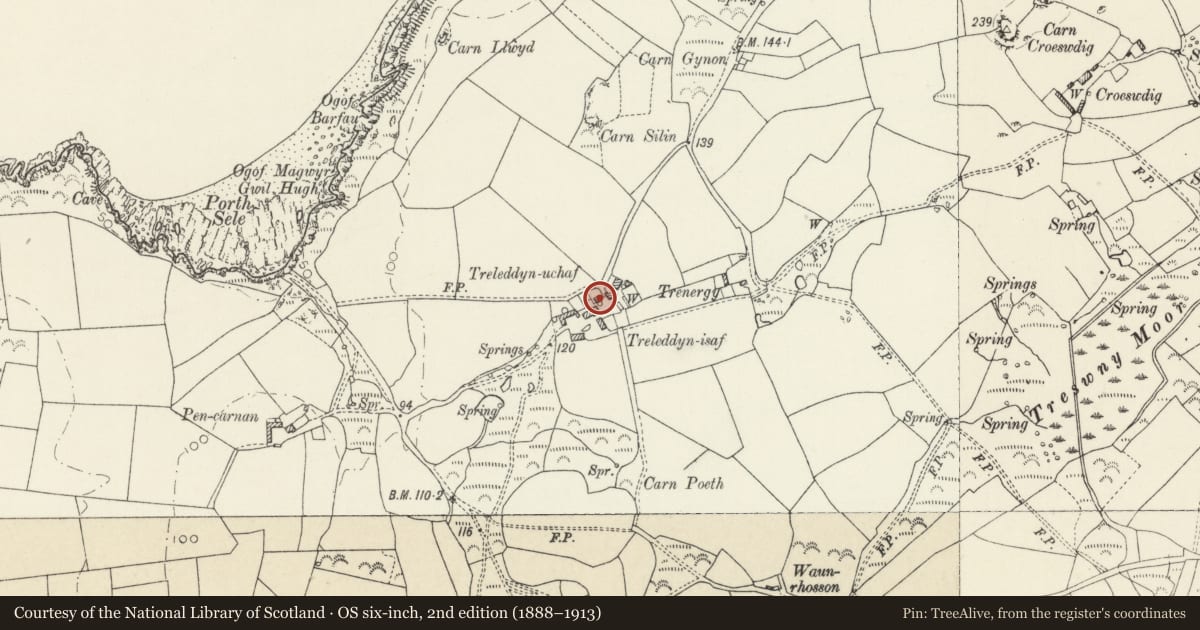 Ordnance Survey six-inch map, 2nd edition (1888–1913) covering the location of Outbuilding to NE.of Treleddyn Isaf/Lower Treleddyn, including low wall in front, St. David's and the Cathedral Close, Pembrokeshire, with a pin at the register's coordinates