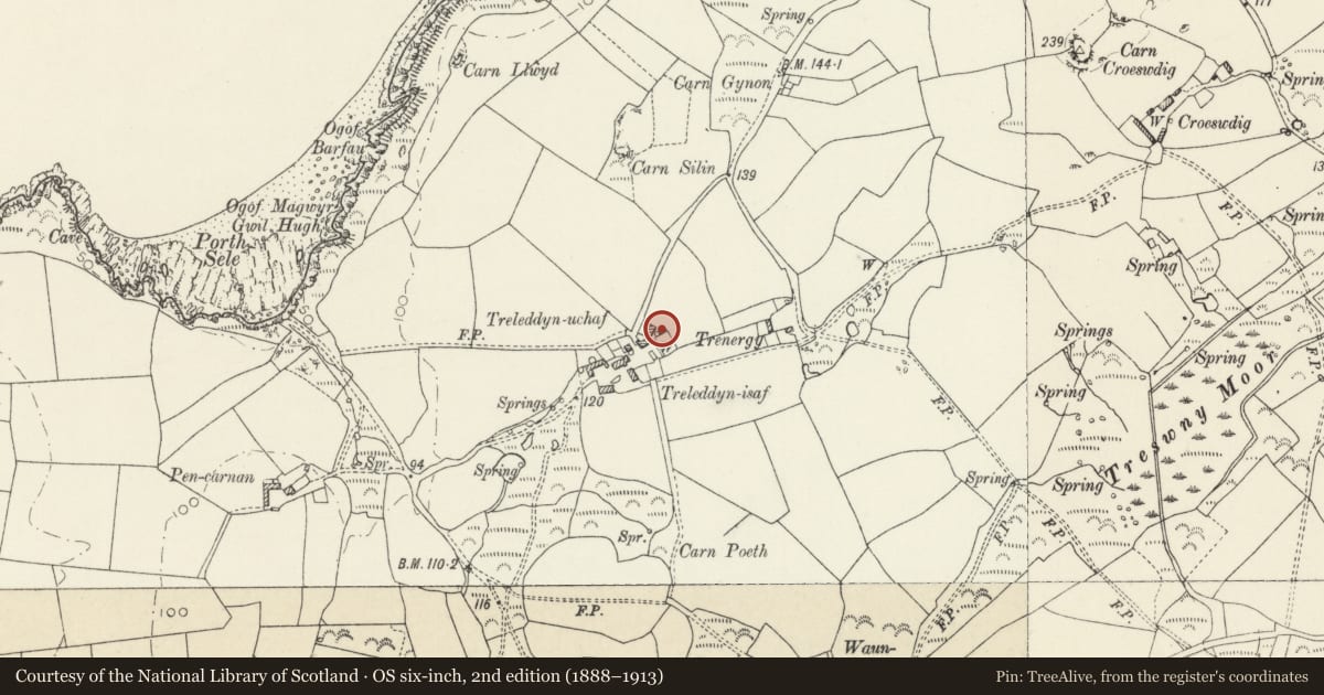 Ordnance Survey six-inch map, 2nd edition (1888–1913) covering the location of Treleddyn Uchaf/Upper Treleddyn, including Garden Walls with Crosshead, St. David's and the Cathedral Close, Pembrokeshire, with a pin at the register's coordinates