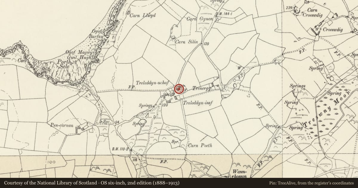 Ordnance Survey six-inch map, 2nd edition (1888–1913) covering the location of Lofted Outbuilding to SW.of Treleddyn Uchaf/Upper Treleddyn, St. David's and the Cathedral Close, Pembrokeshire, with a pin at the register's coordinates
