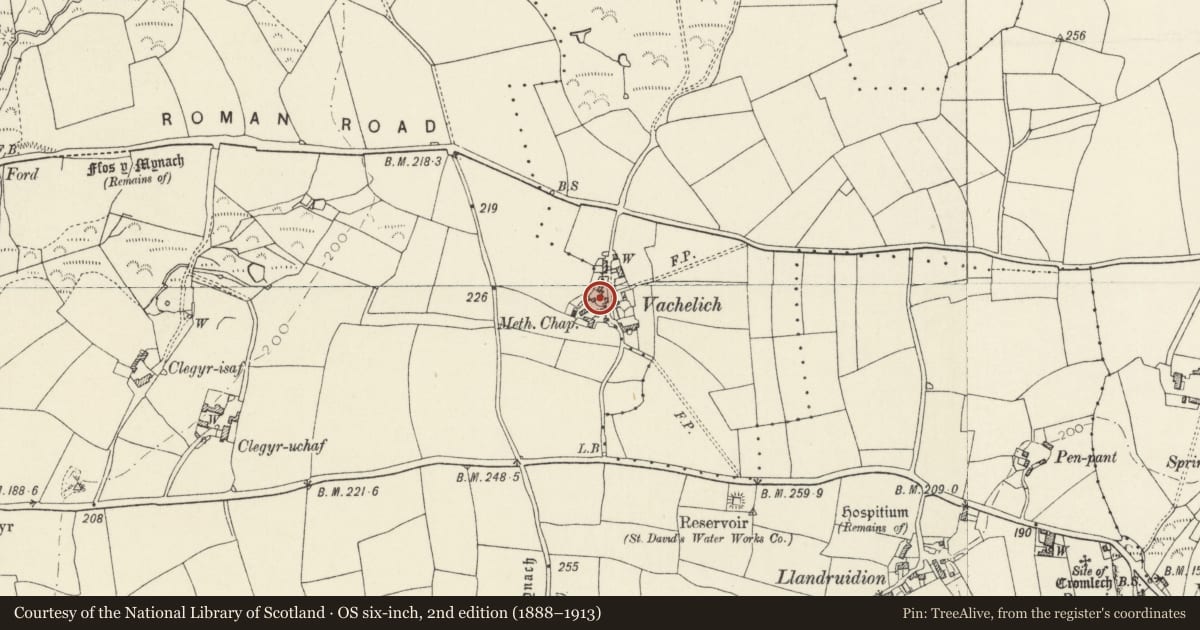 Ordnance Survey six-inch map, 2nd edition (1888–1913) covering the location of Y Bwthyn, St. David's and the Cathedral Close, Pembrokeshire, with a pin at the register's coordinates