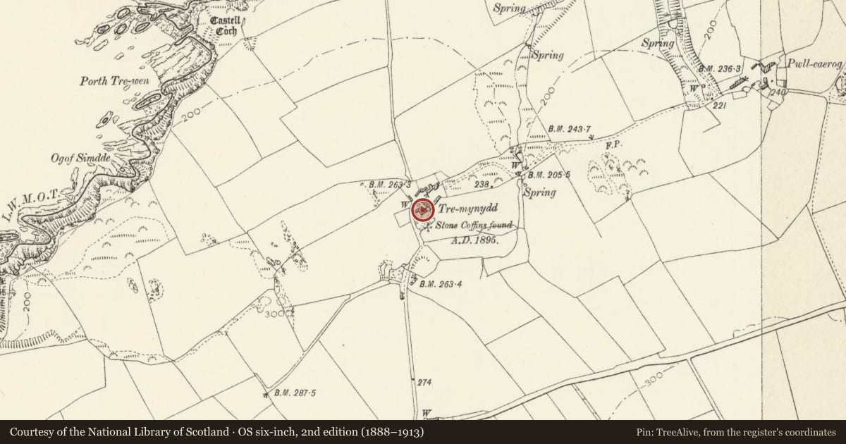 Ordnance Survey six-inch map, 2nd edition (1888–1913) covering the location of Tremynydd Fawr, St. David's and the Cathedral Close, Pembrokeshire, with a pin at the register's coordinates