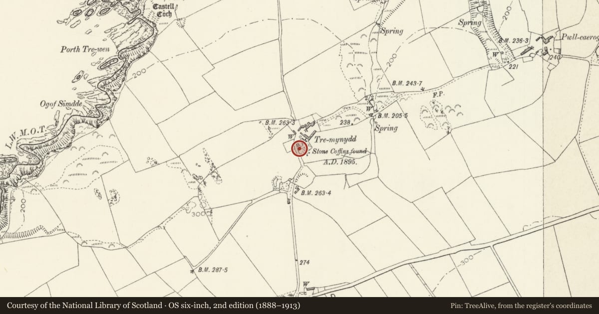 Ordnance Survey six-inch map, 2nd edition (1888–1913) covering the location of Coach House to SW of Temynydd Farw, St. David's and the Cathedral Close, Pembrokeshire, with a pin at the register's coordinates