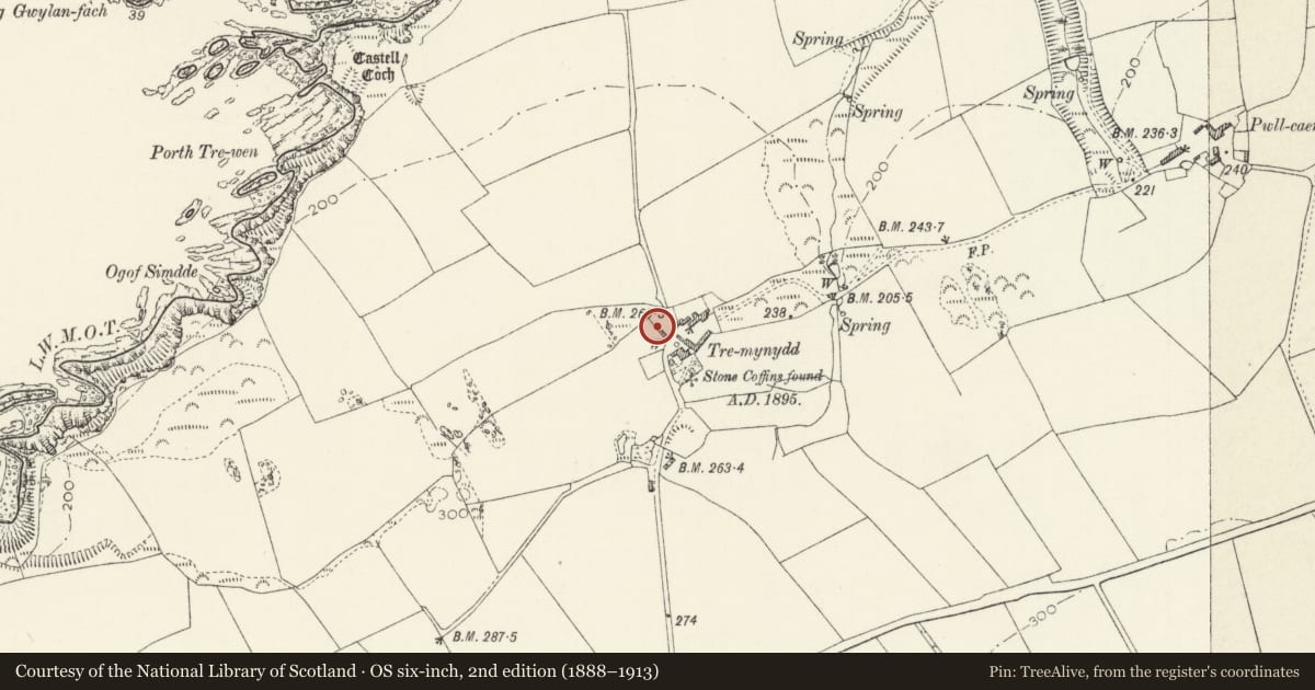 Ordnance Survey six-inch map, 2nd edition (1888–1913) covering the location of Range of Outbuildings to NW.of Tremynydd Fawr, St. David's and the Cathedral Close, Pembrokeshire, with a pin at the register's coordinates